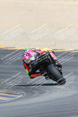 media/Mar-10-2024-SoCal Trackdays (Sun) [[6228d7c590]]/9-Turn 8 Backside (1150am)/